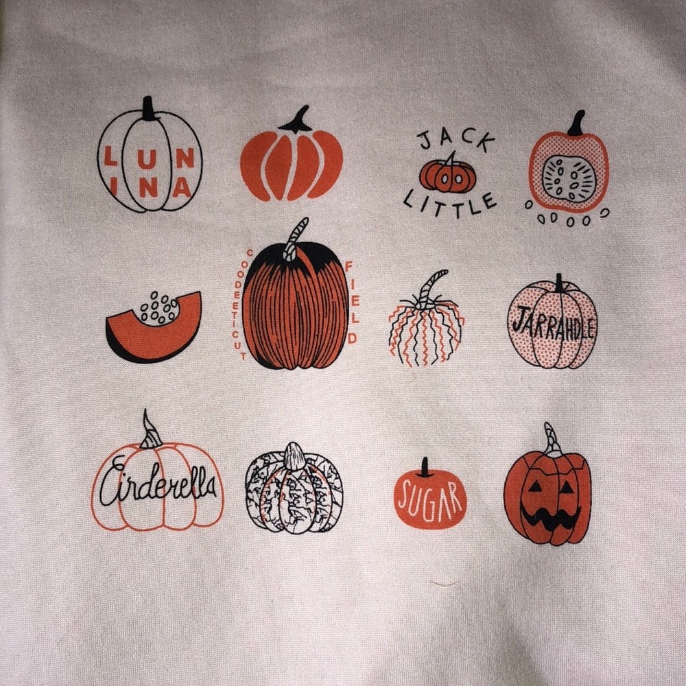 Pumpkin Pullover